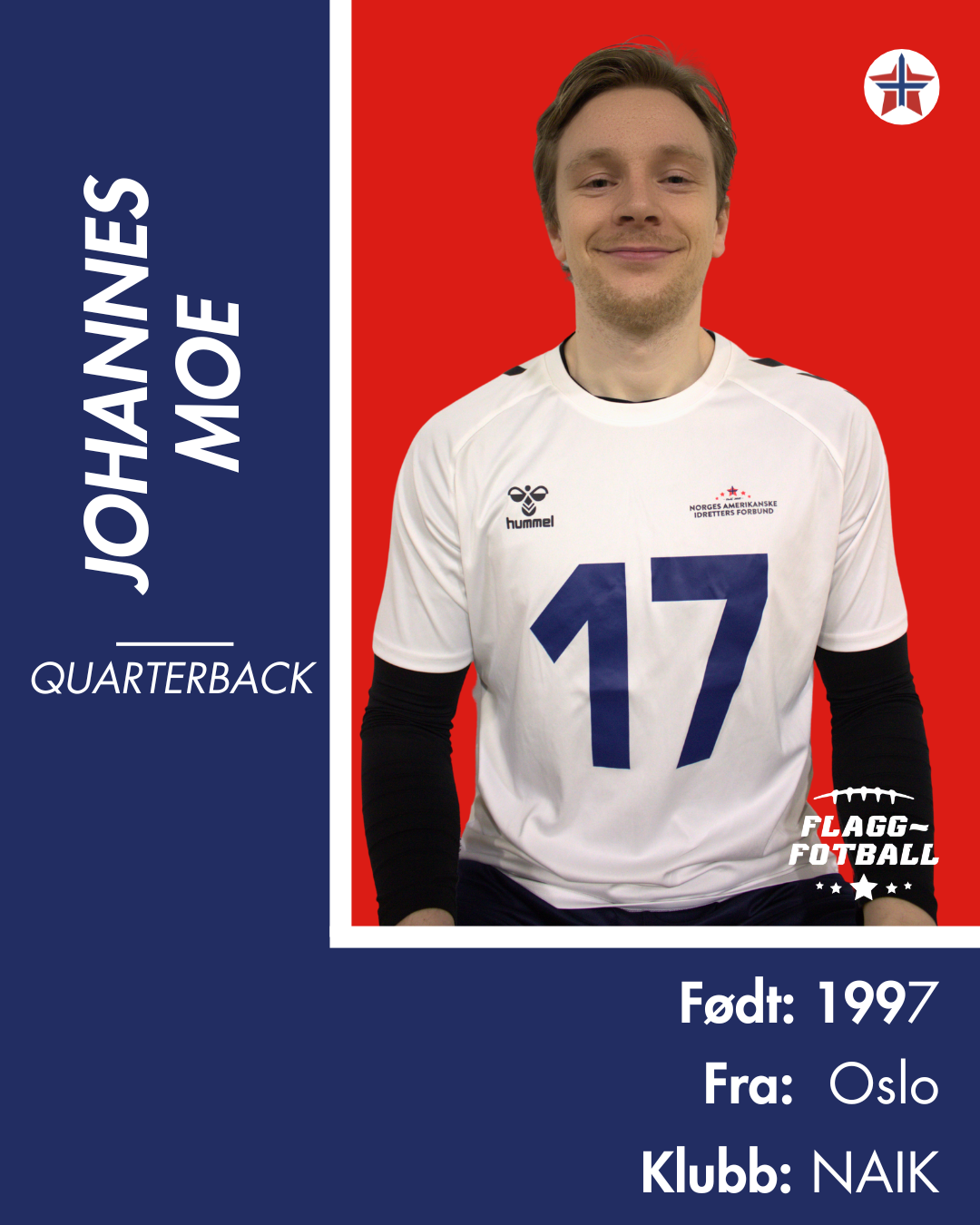 FLAGGFOTBALL HERRELANDSLAG - Donasjonsnivå Gull