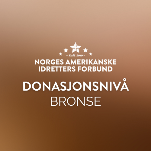 FLAGGFOTBALL HERRELANDSLAG - Donasjonsnivå Bronse