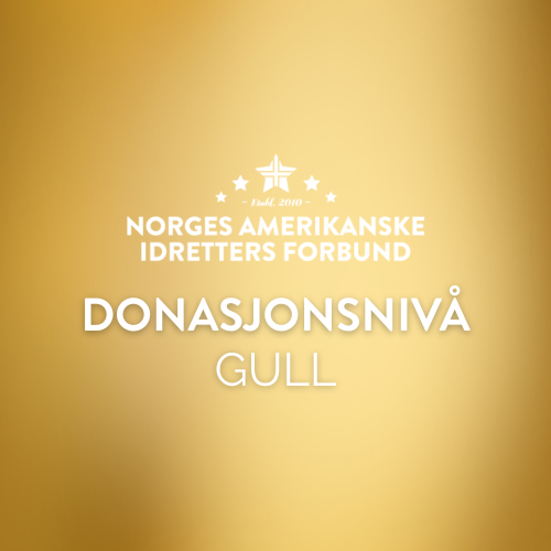 FLAGGFOTBALL HERRELANDSLAG - Donasjonsnivå Gull