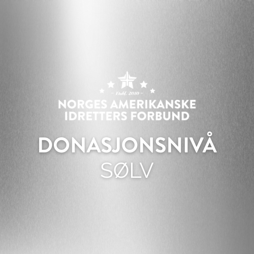 FLAGGFOTBALL HERRELANDSLAG - Donasjonsnivå Sølv