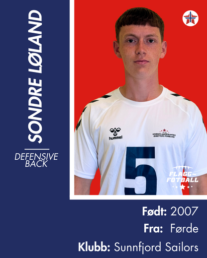 FLAGGFOTBALL HERRELANDSLAG - Donasjonsnivå Gull