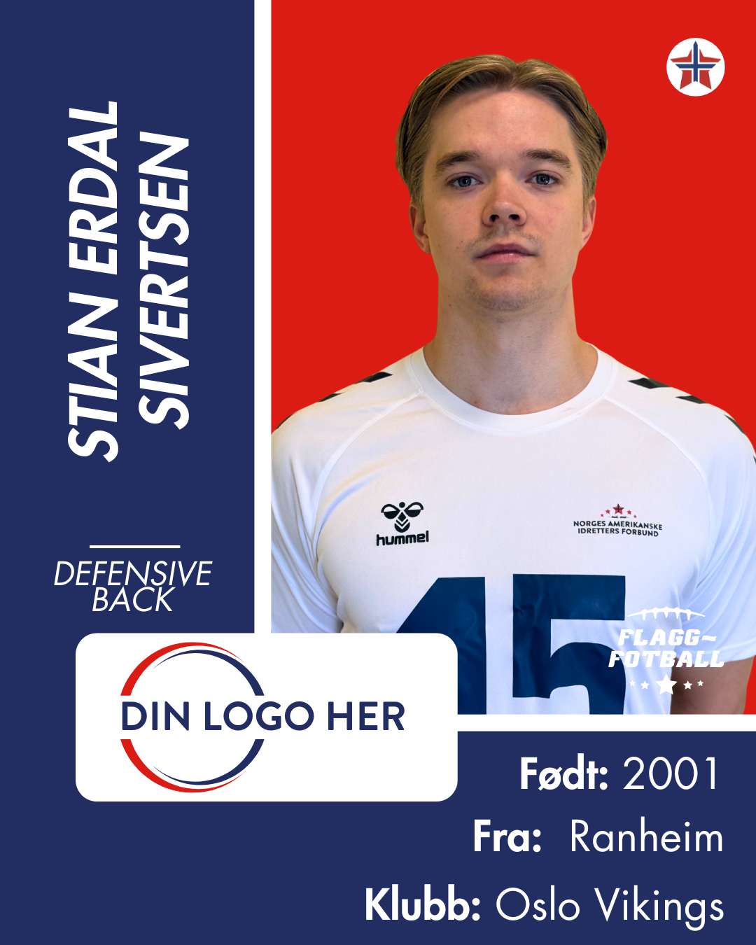 FLAGGFOTBALL HERRELANDSLAG - Donasjonsnivå Gull